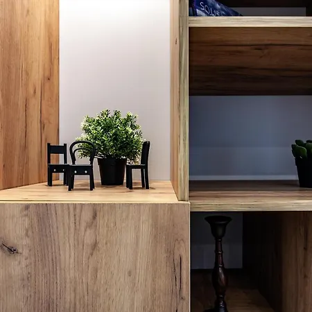 Sonata Apartment Lviv